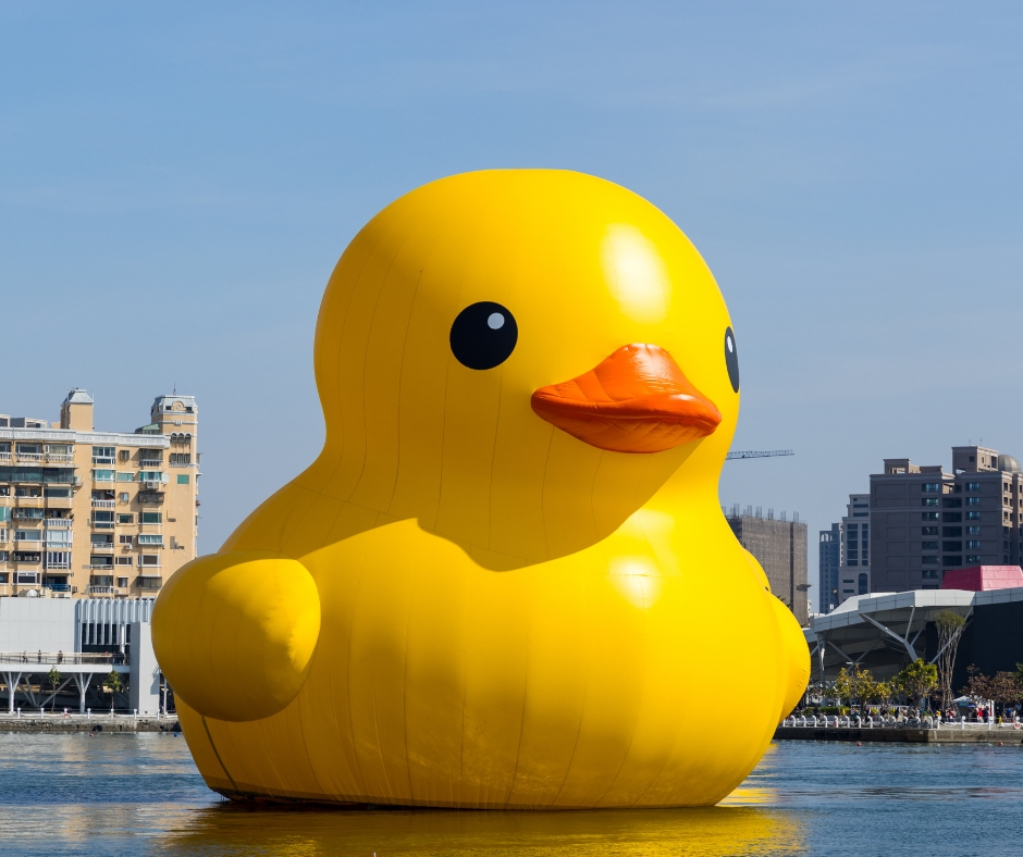 What the Duck?