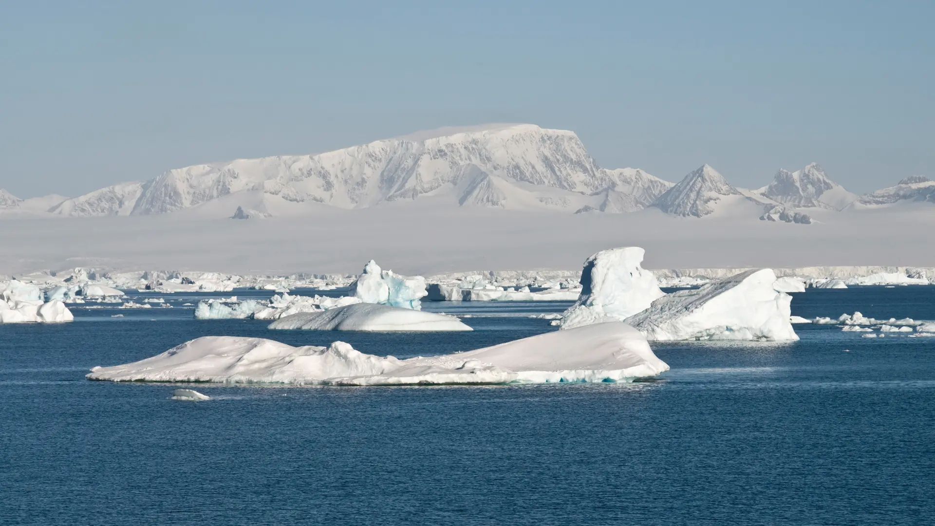 Antarctic Sound, Antarctica