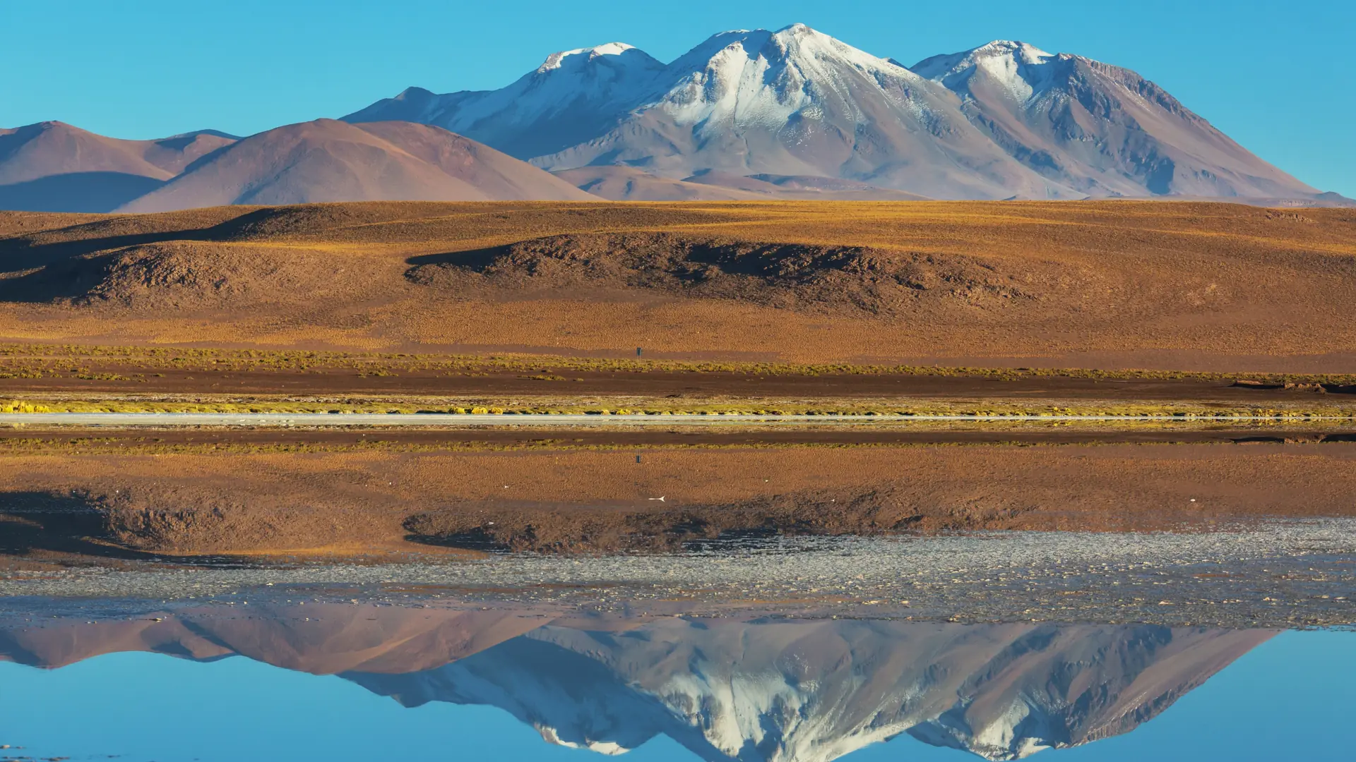 Fantastic Scenic landscapes of Northern Chile, Atacama desert. Beautiful inspiring natural landscapes. Kalgaspores in high mountains.