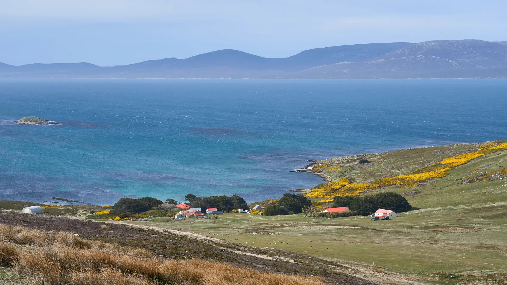 Carcass Island, Falkland Islands (UK)