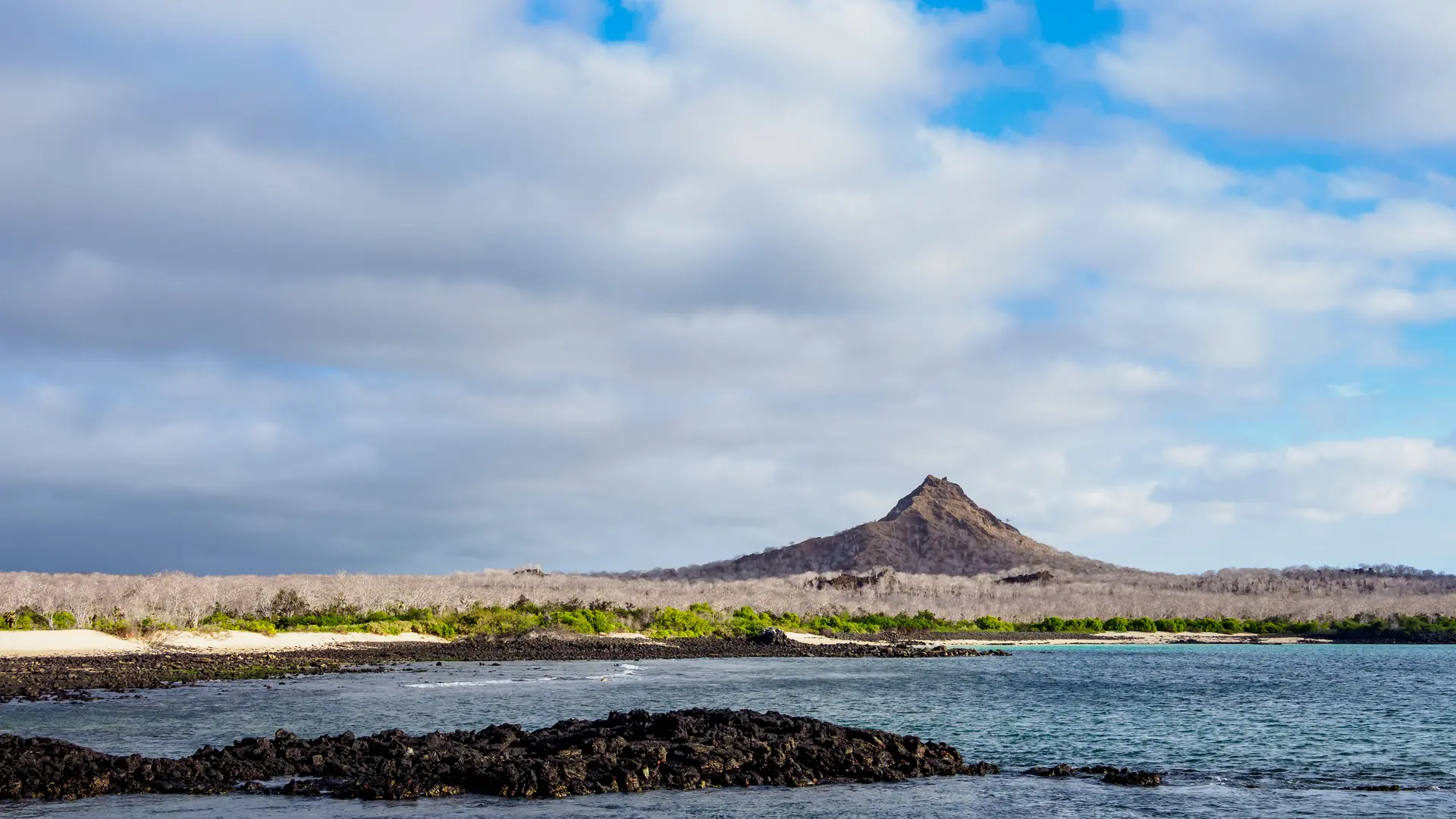 Dragon Hill (santa Cruz), Galapagos Islands