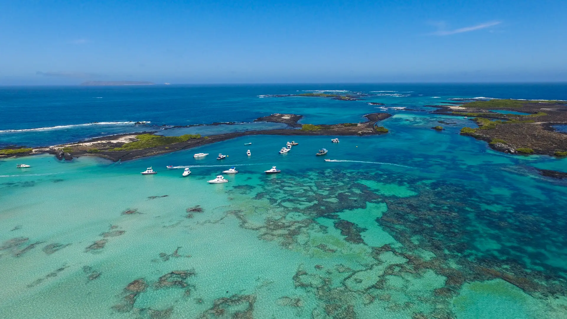 Elizabeth Bay (Isabela), Galapagos Islands