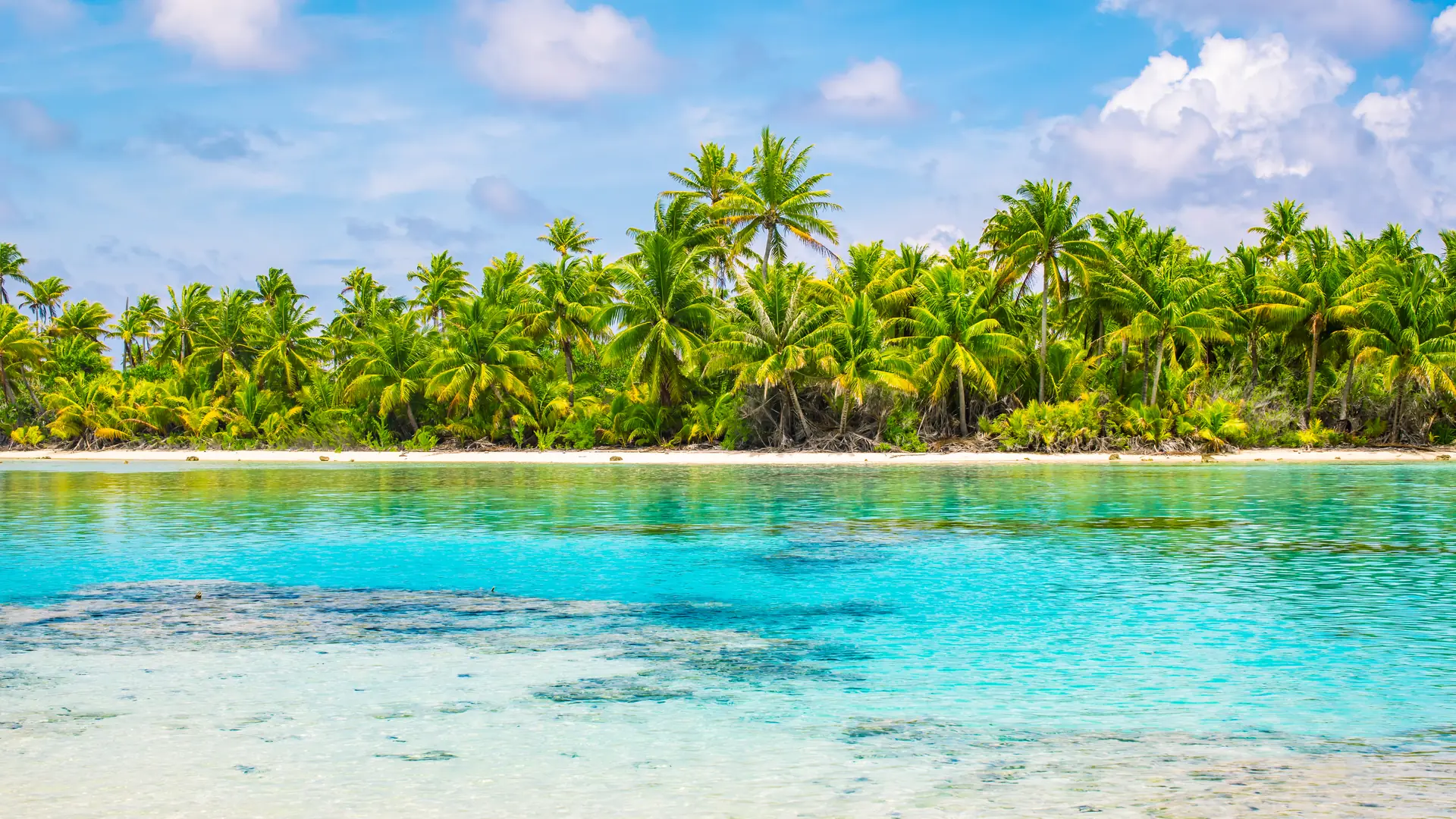 Tropical palm trees and lagoon of Fakarava, French Polynesia. Summer vacation concept.