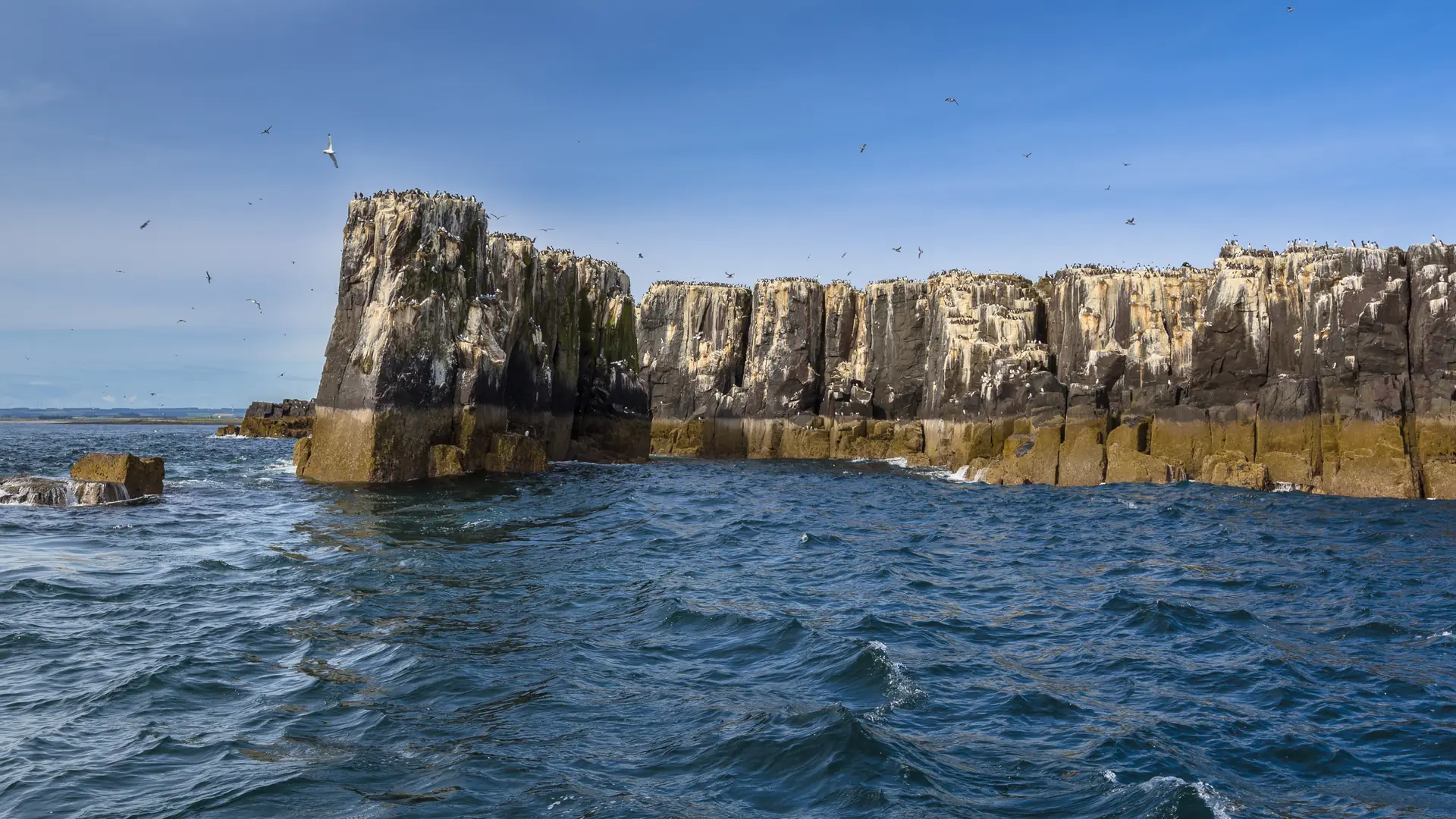 Farne Islands