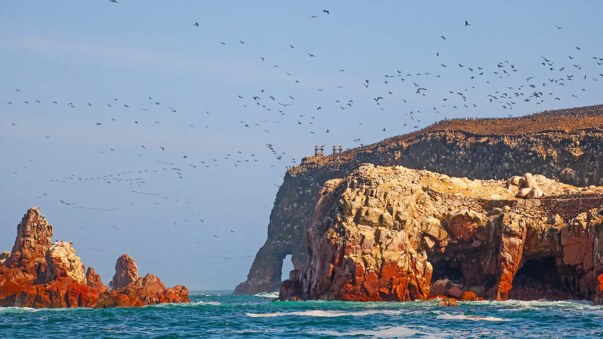Lots of birds on Ballestas Islands national reserve, Paracas, Peru
