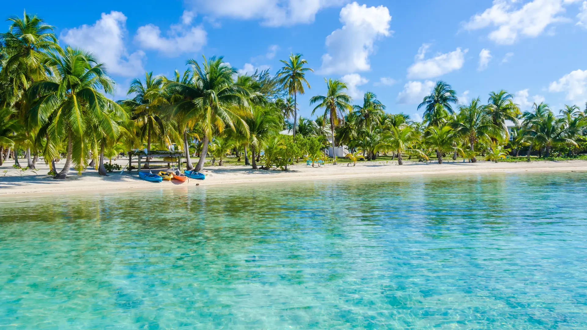 Belize Cayes - Small tropical island at Barrier Reef with paradise beach - known for diving, snorkeling and relaxing vacations - Caribbean Sea, Belize, Central America