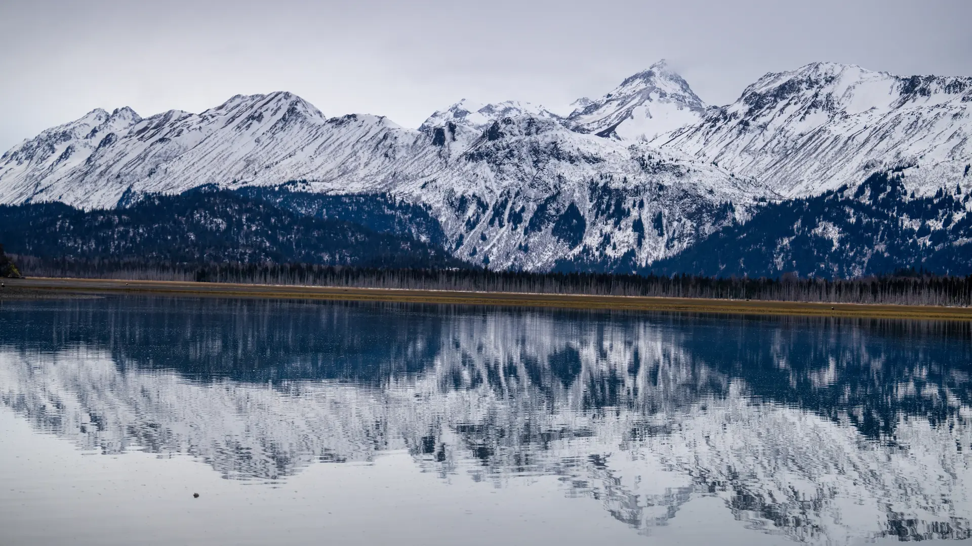 Homer, Alaska