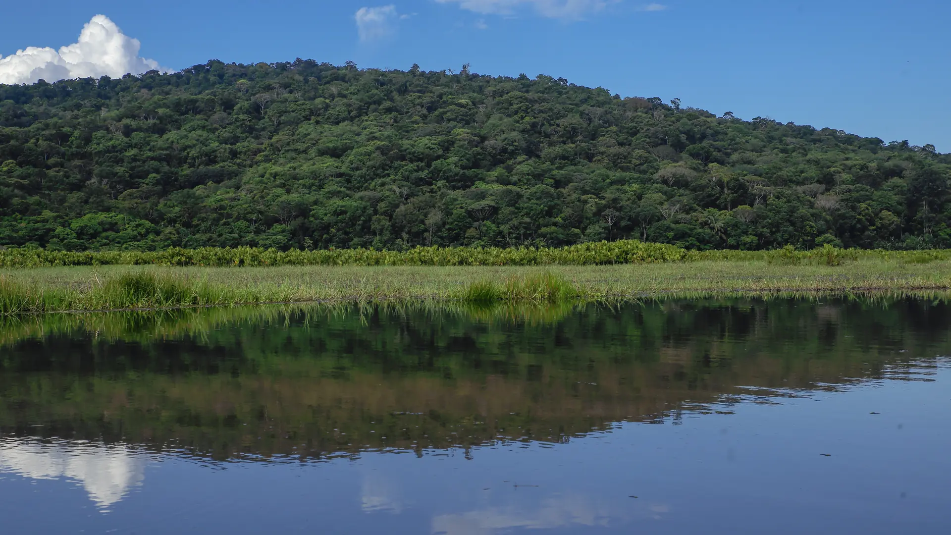 Ile Royale, French Guiana