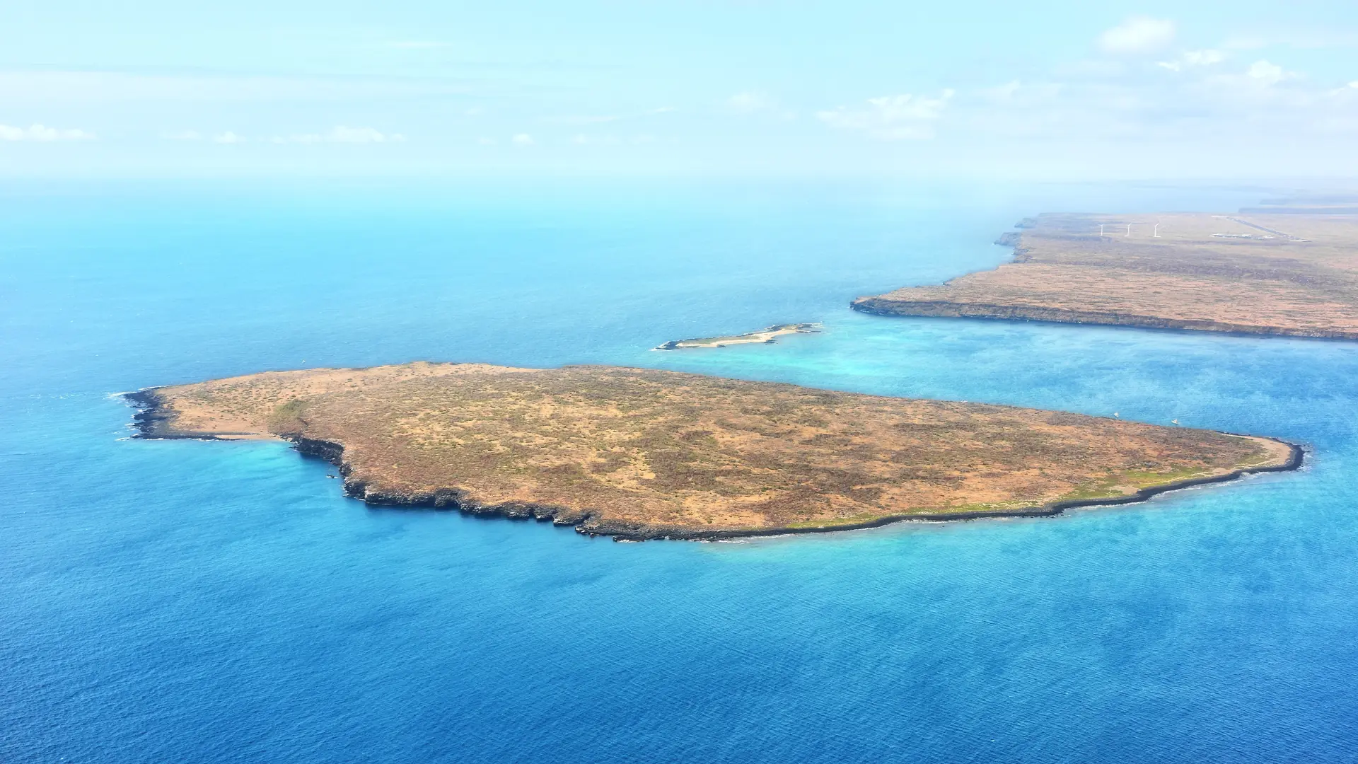 Isla North Seymour, Galapagos Islands