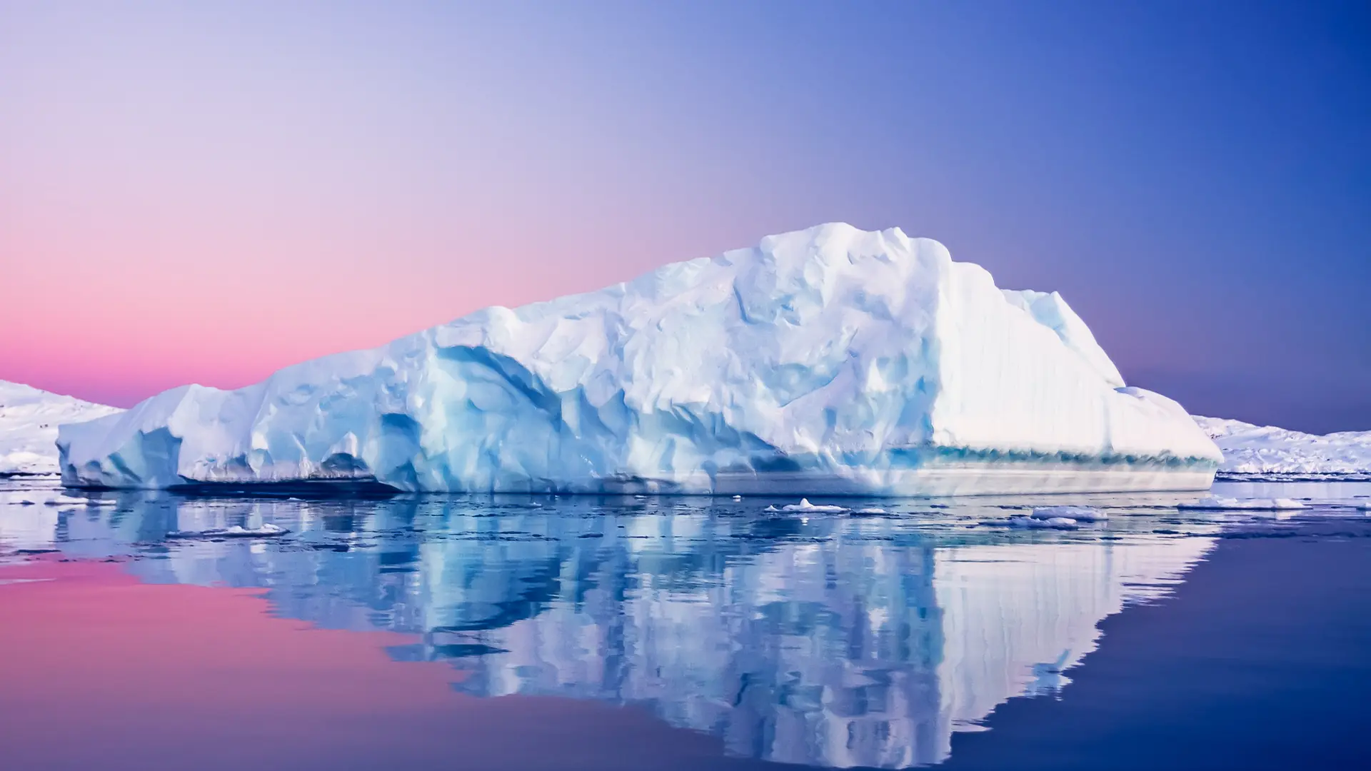 Islas Malvinas (Falkland Islands), Antarctica