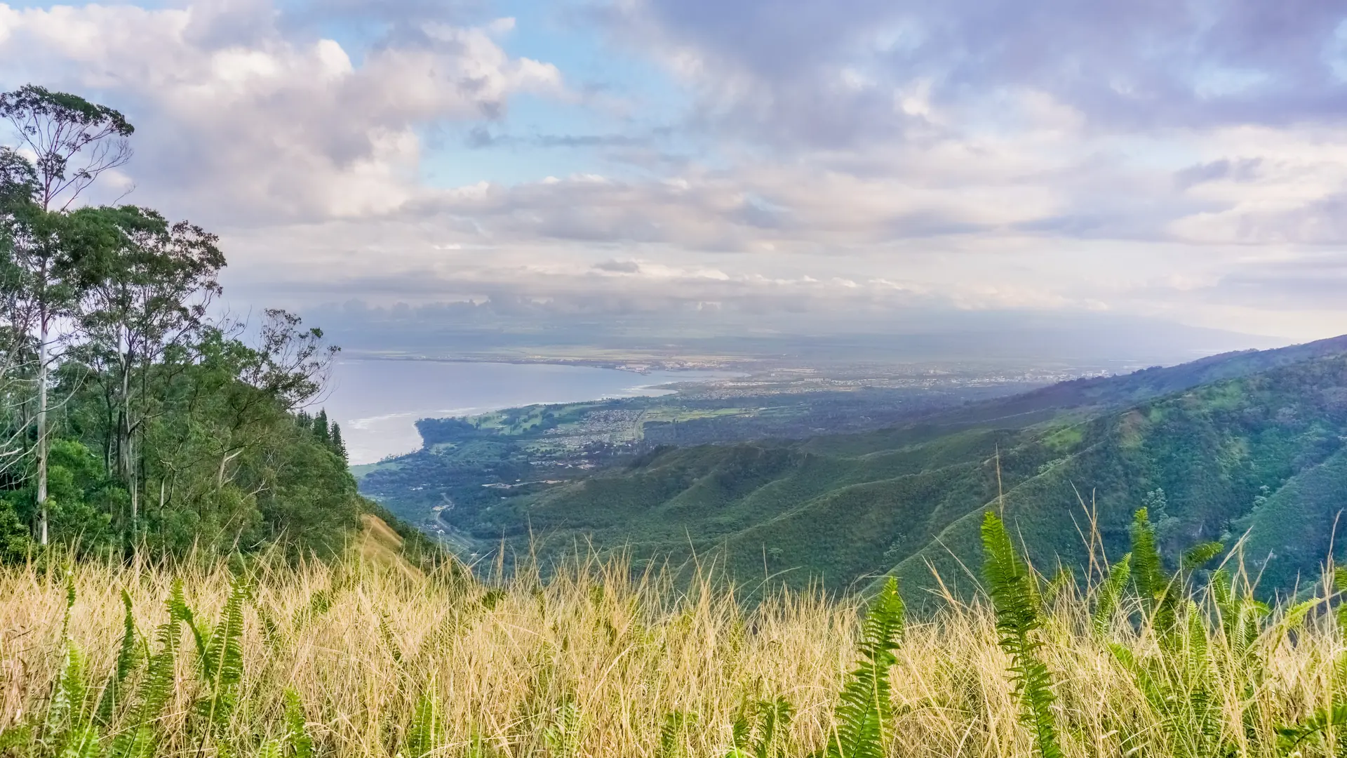 View towards Kahului from the Waihee ridge trail, Maui, Hawaii