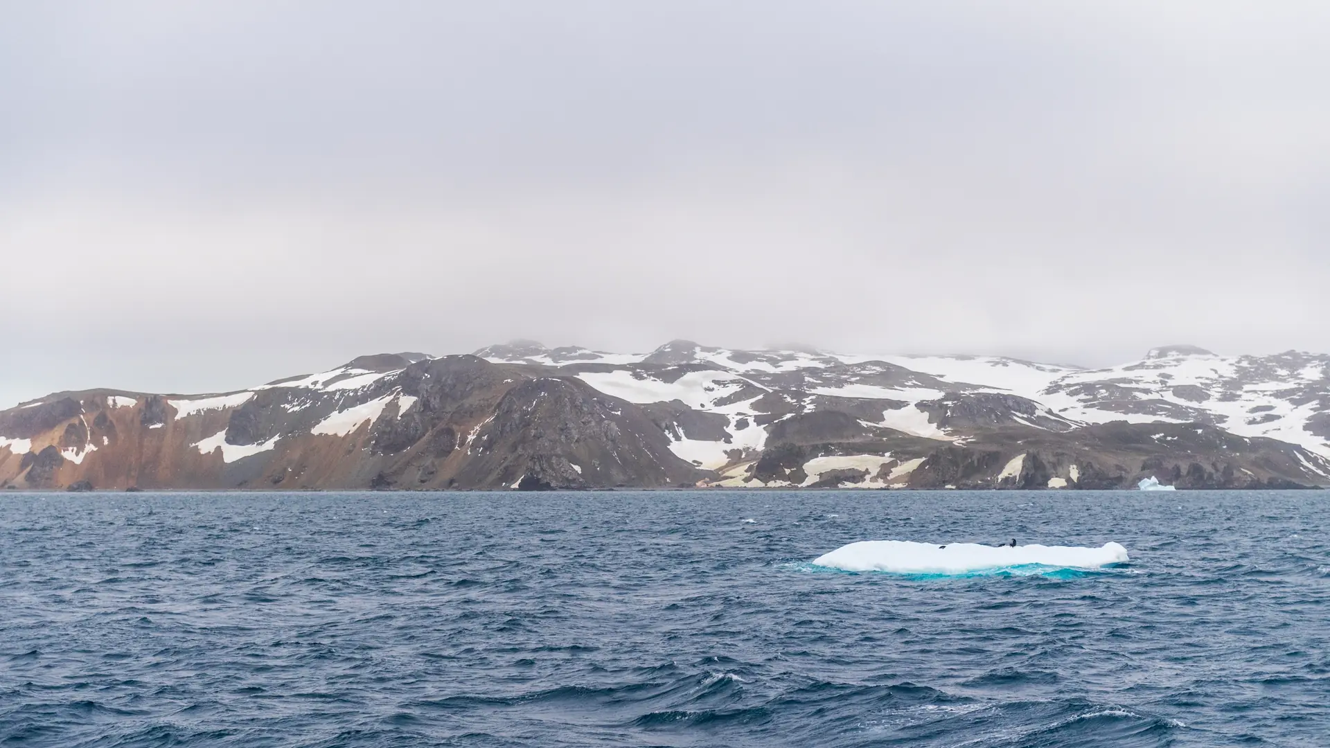 King George Island, Antartica