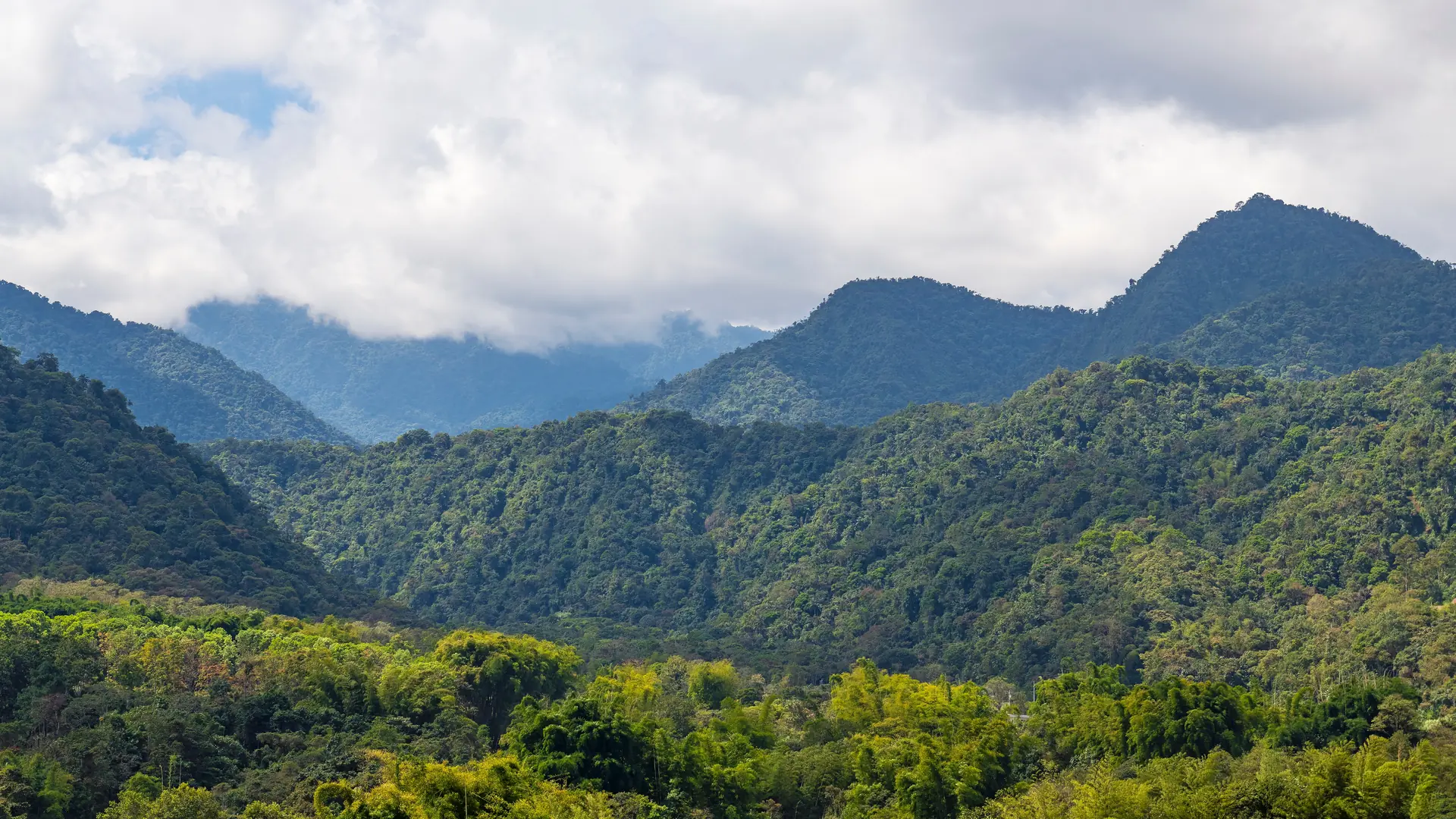 Mindo cloud forest panorama, Ecuador.