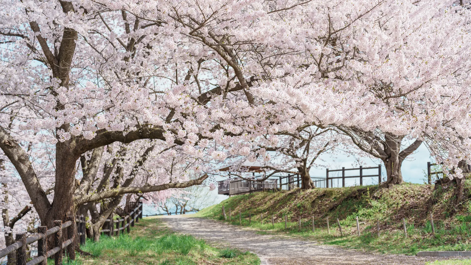 Maizuru, Japan