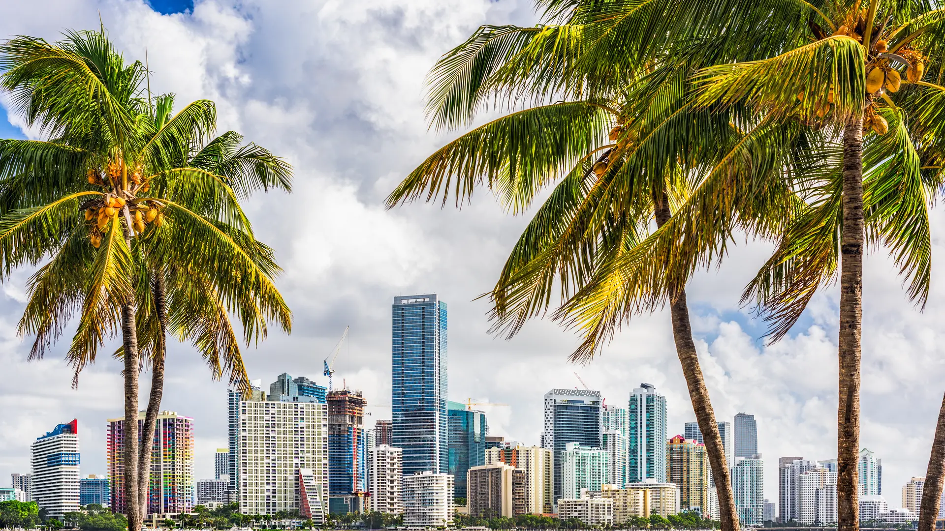 Miami, Florida, USA tropical downtown skyline.