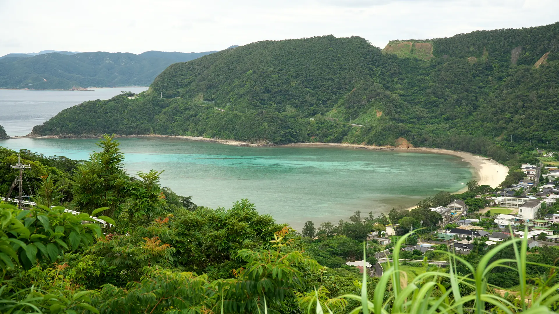 Naze, Amani Oshima
