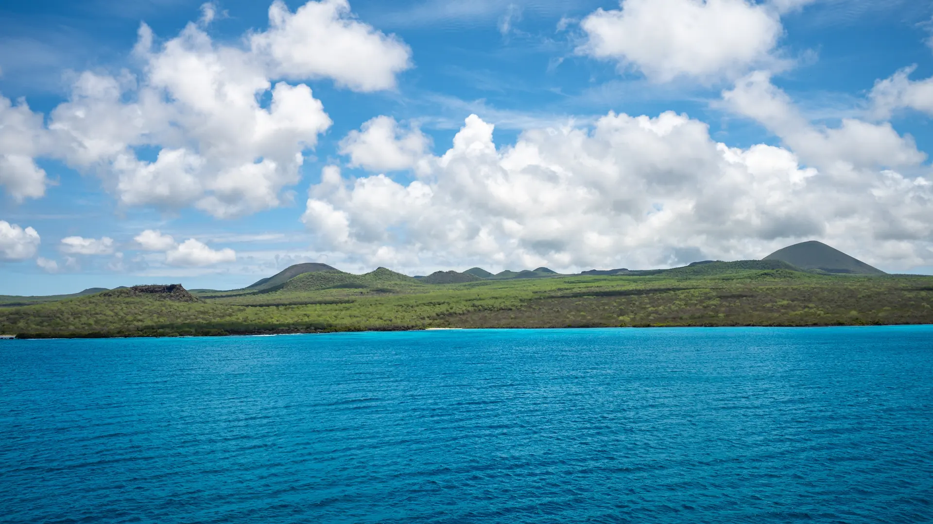 Nightingale Island, Tristan da Cunha