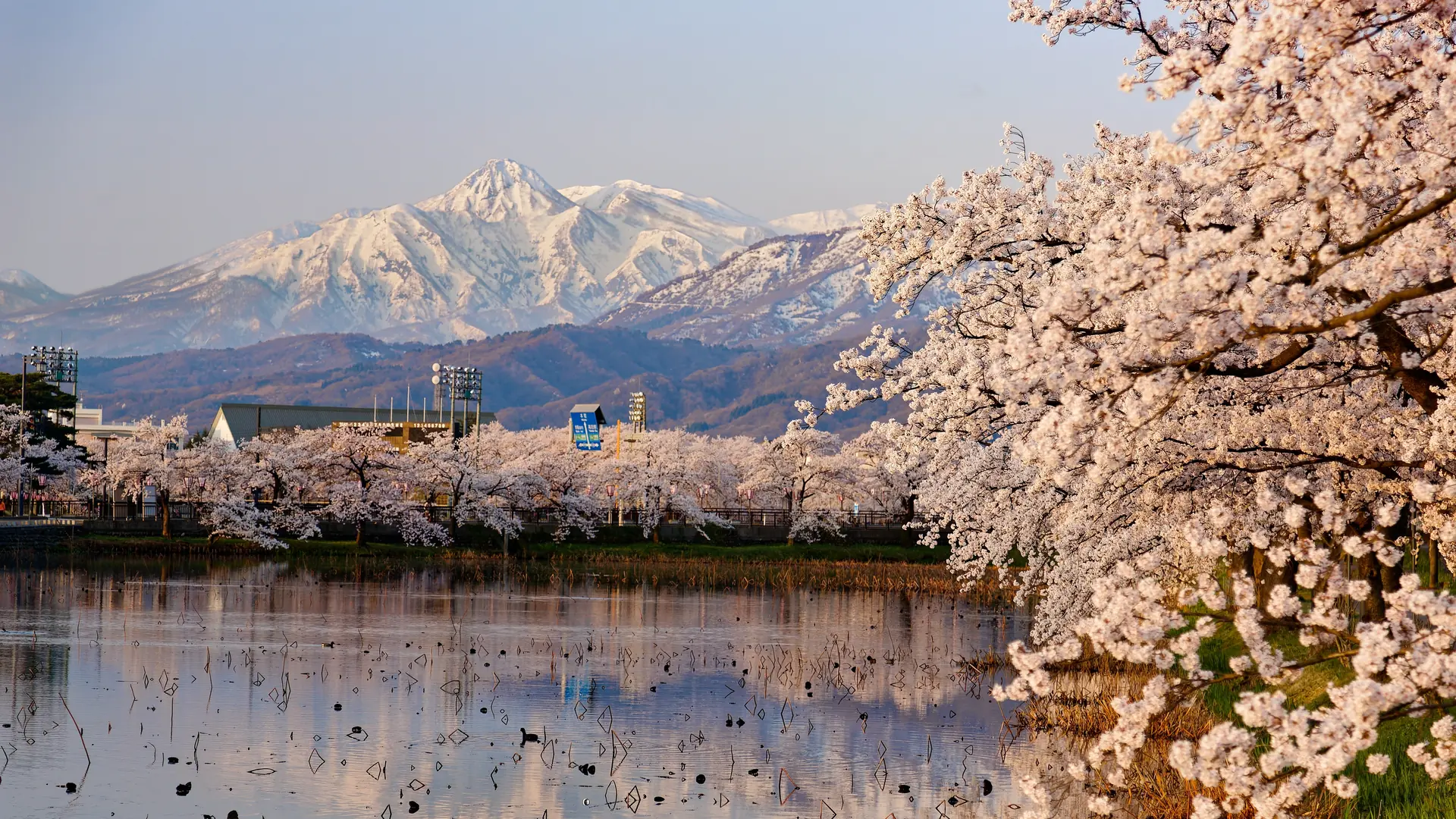 Niigata, Japan