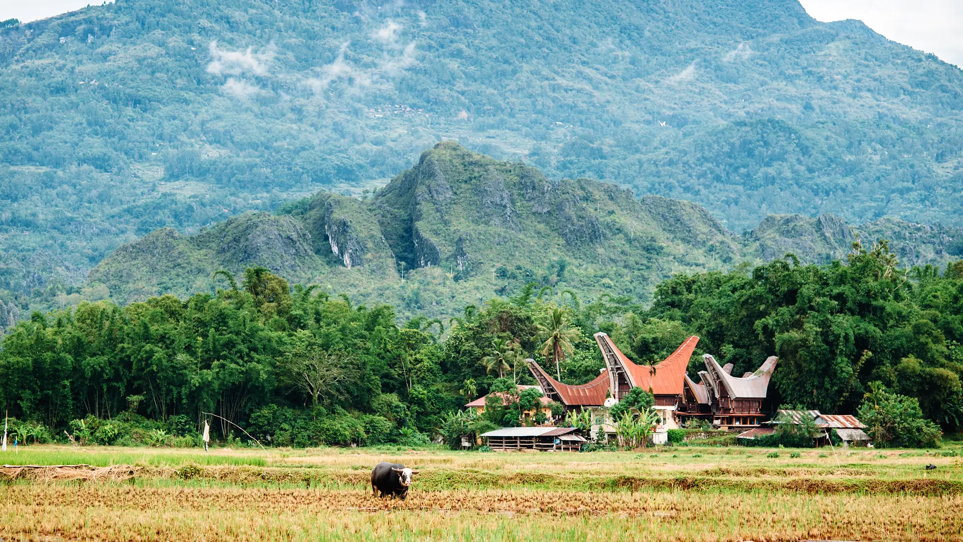 Palopo, Sulawesi, Indonesia