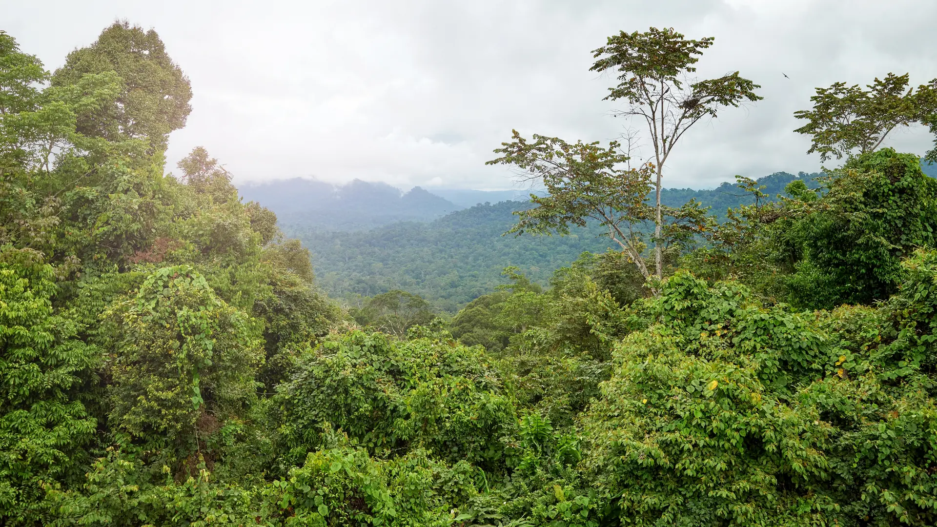 Pohnpei, Micronesia