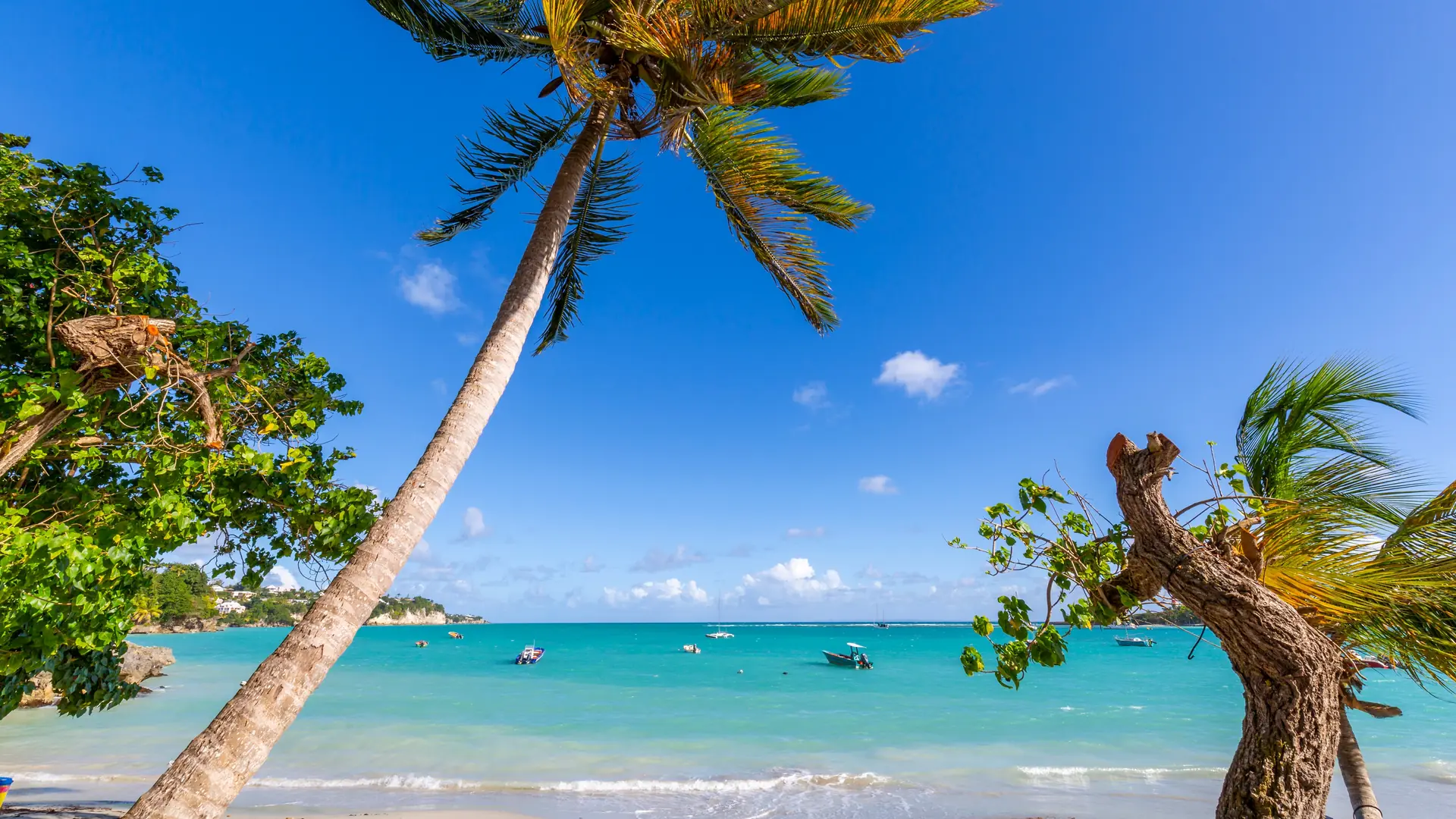 Pointe-a-Pitre, Guadeloupe