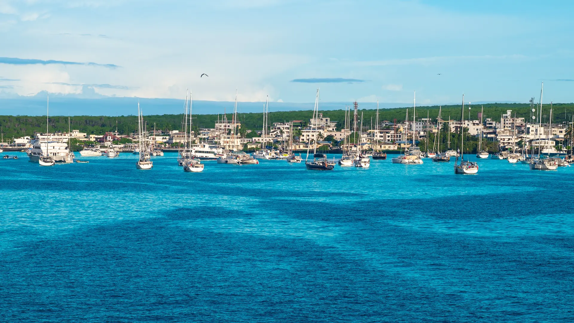 Puerto Ayora, Galapagos Islands