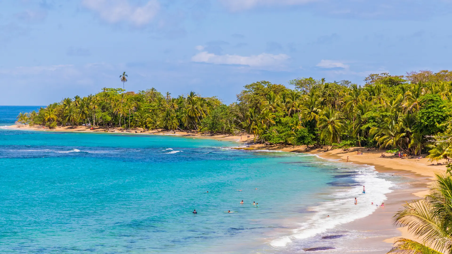 Punta Uva beach in Puerto Viejo, Limon, Costa Rica, Central America