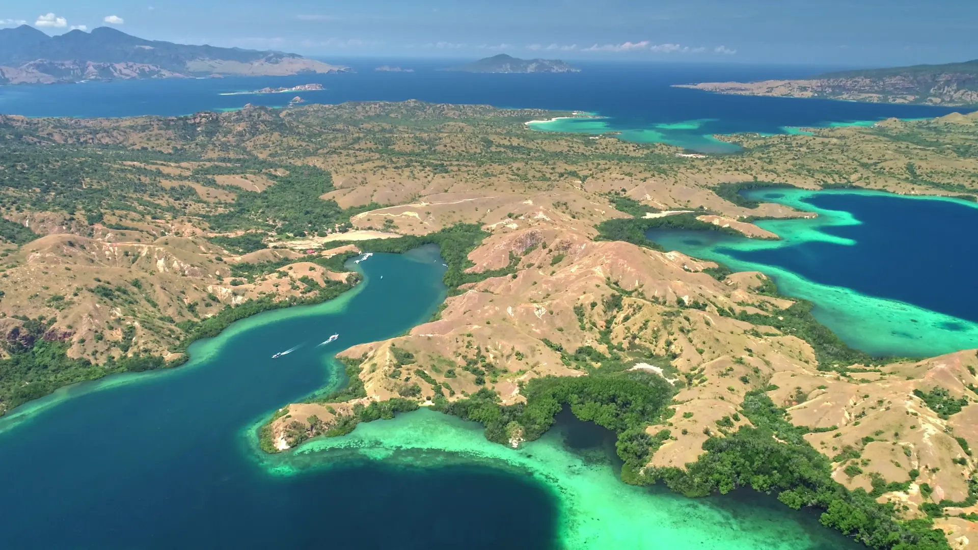 Rinca Island, Indonesia
