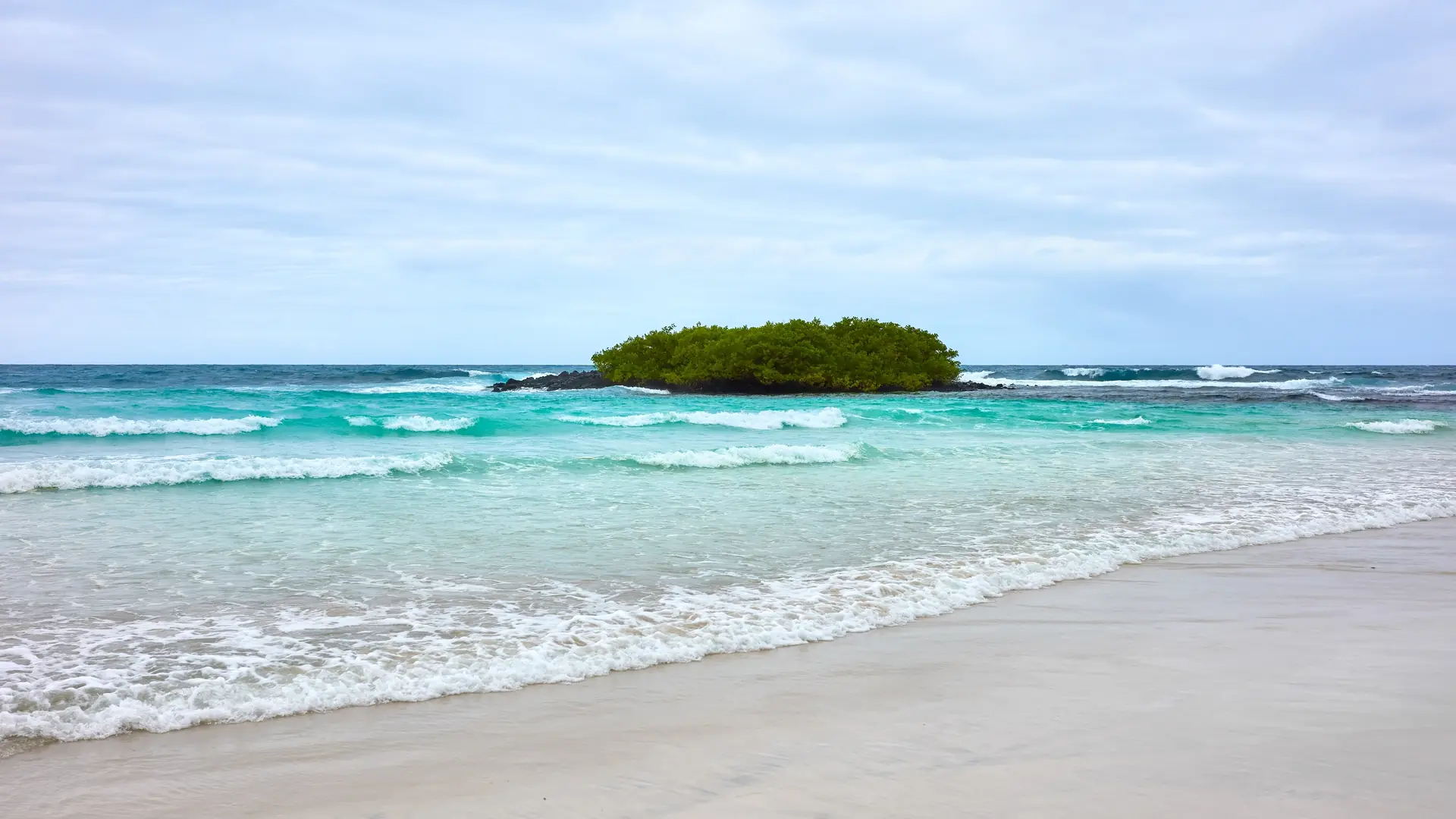 Santa Cruz Island, Galapagos Islands