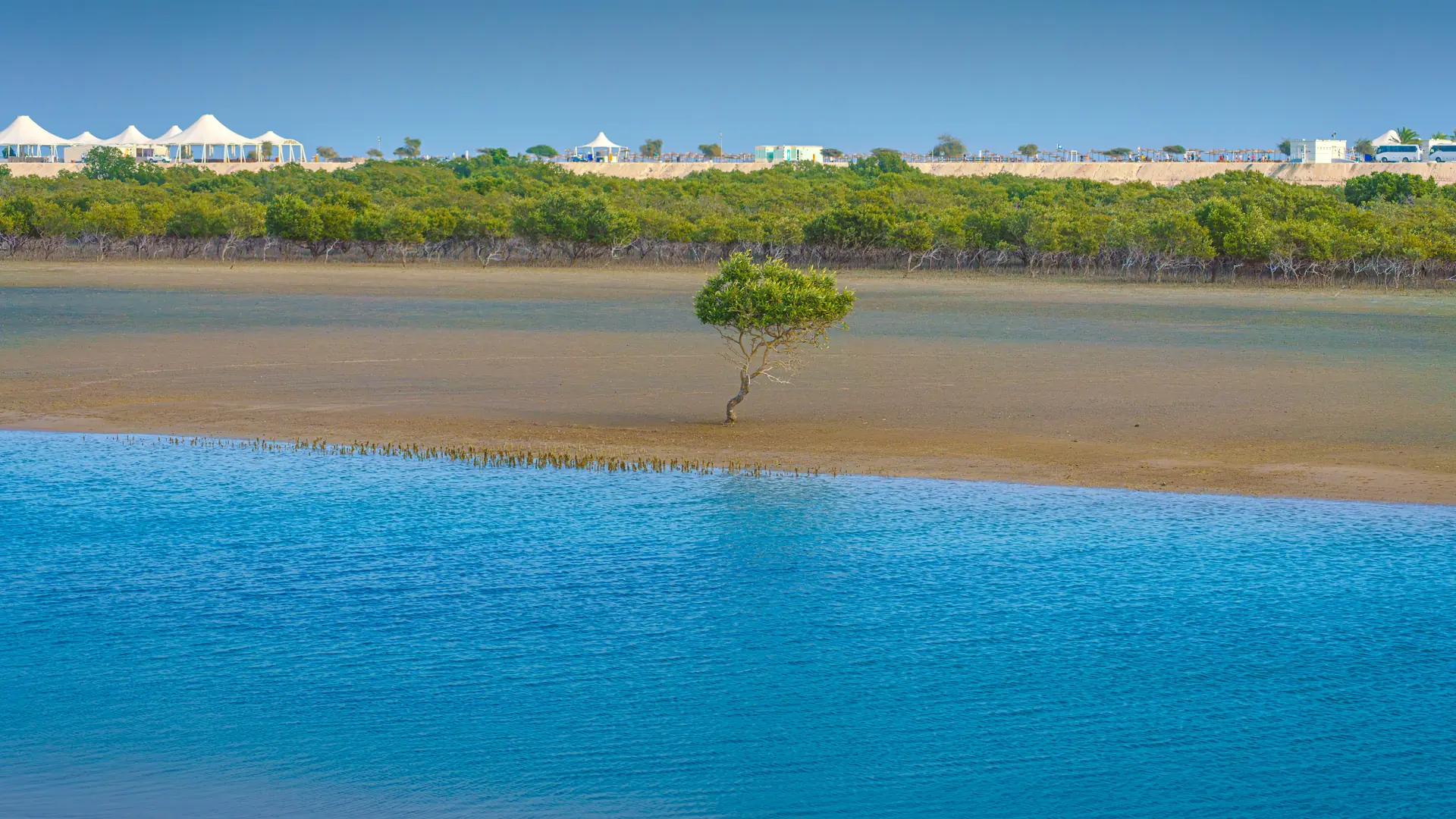 Sir Bani Yas Island, United Arab Emirates