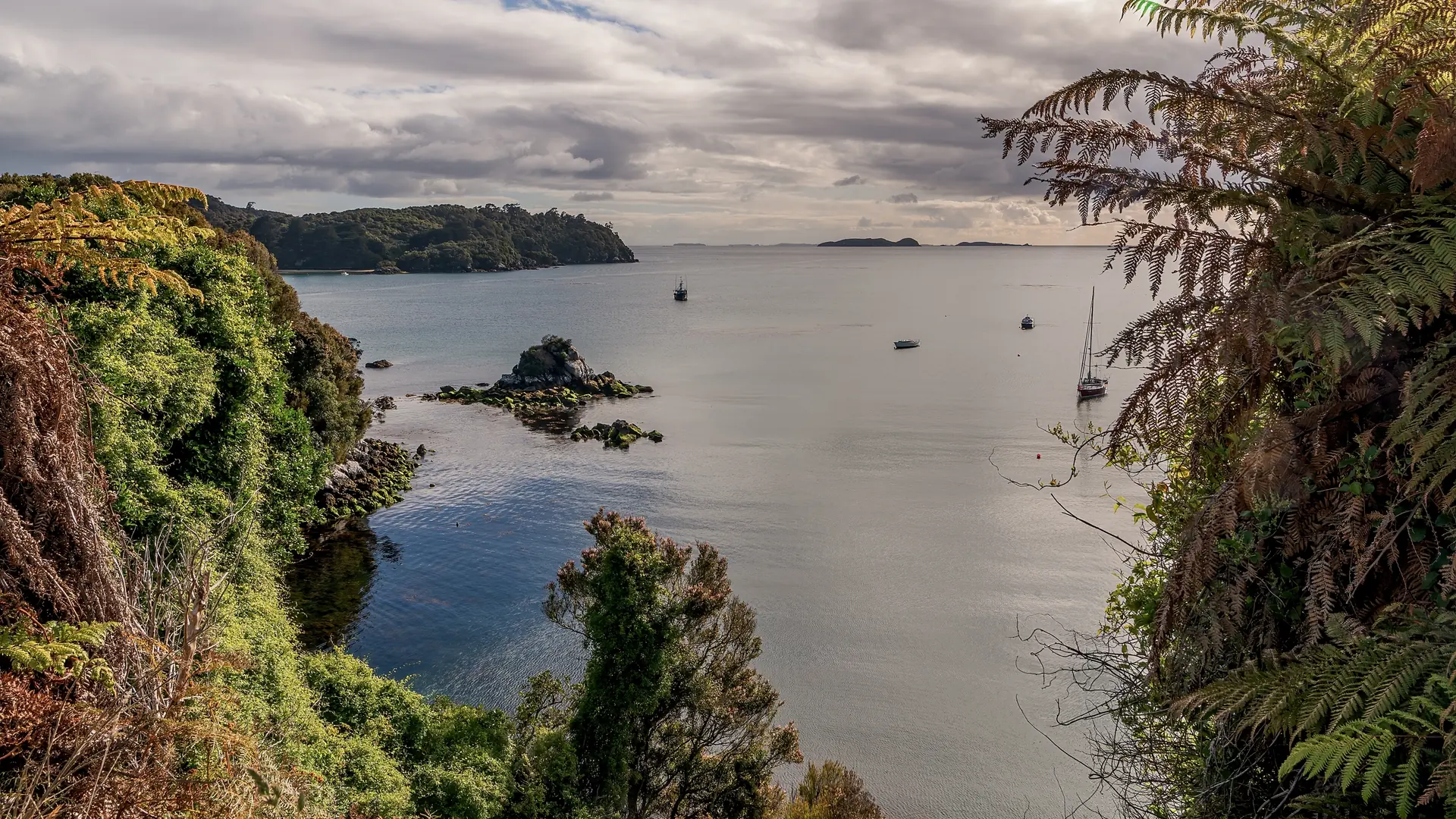 Stewart Island, New Zealand