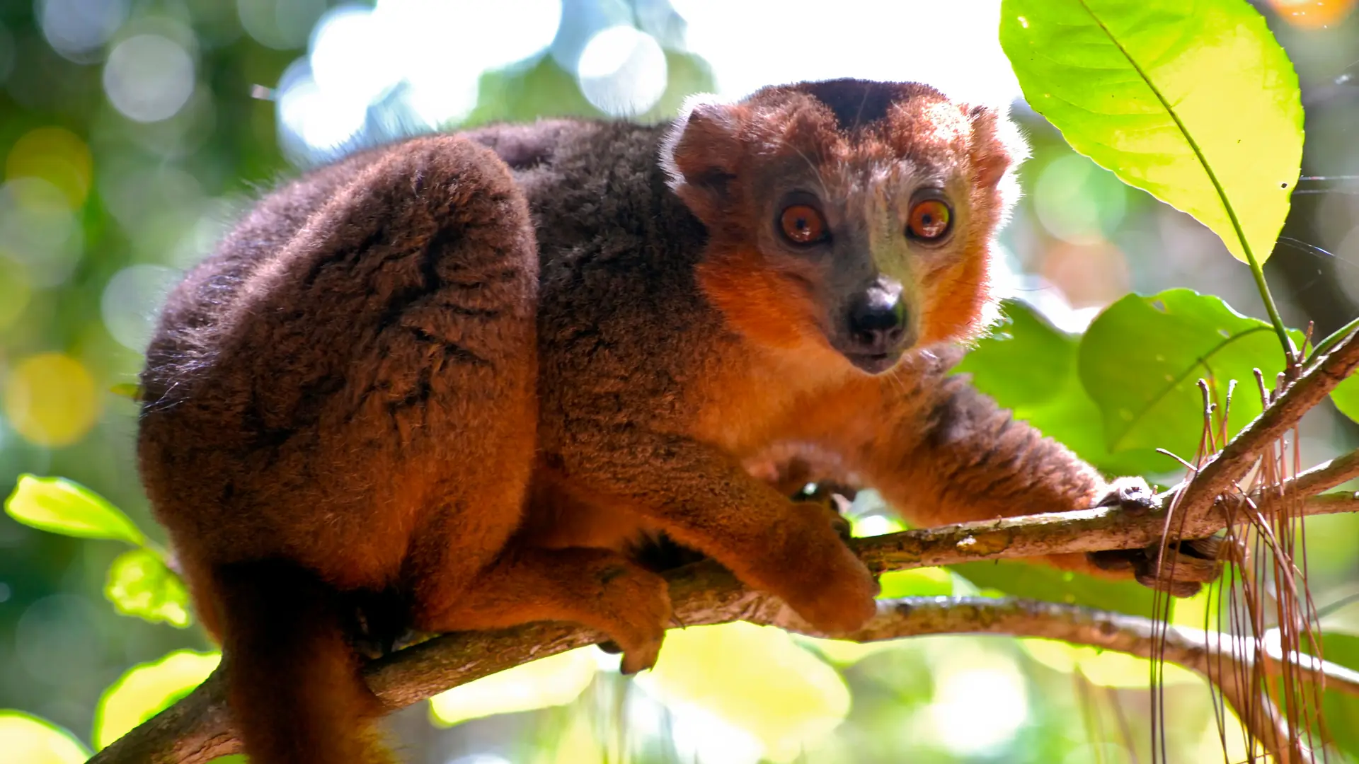 Toamasina, Madagascar