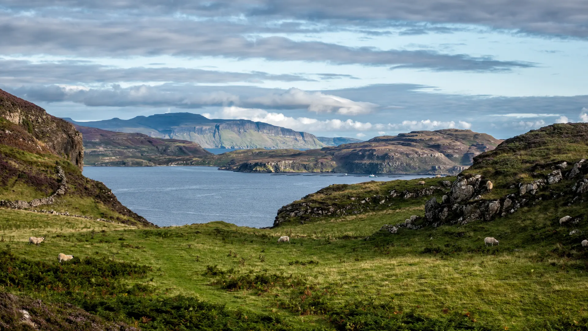 Treshnish Isles, Scotland