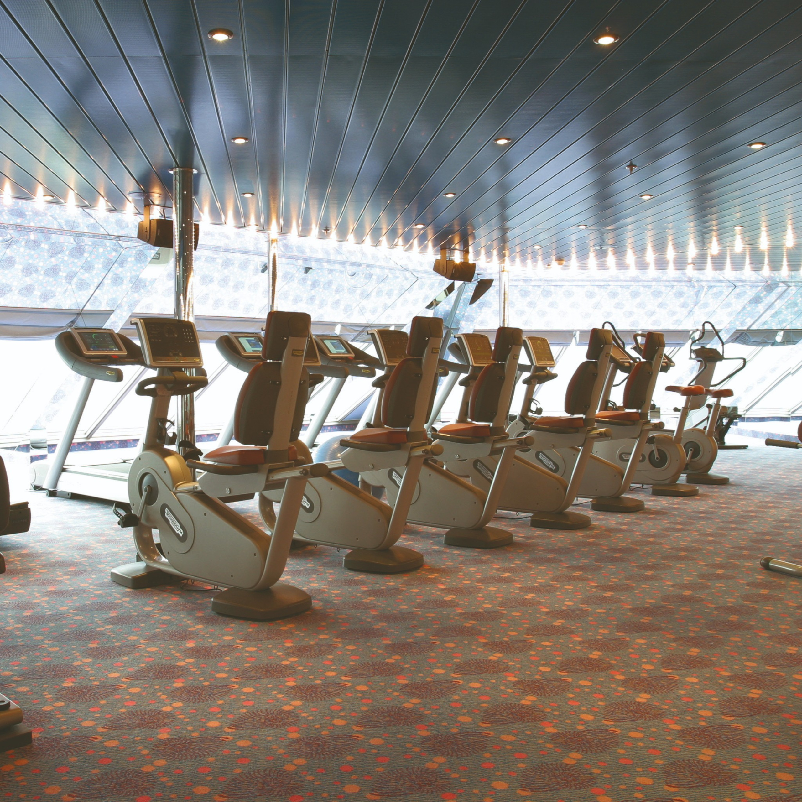 Cardio Equipment