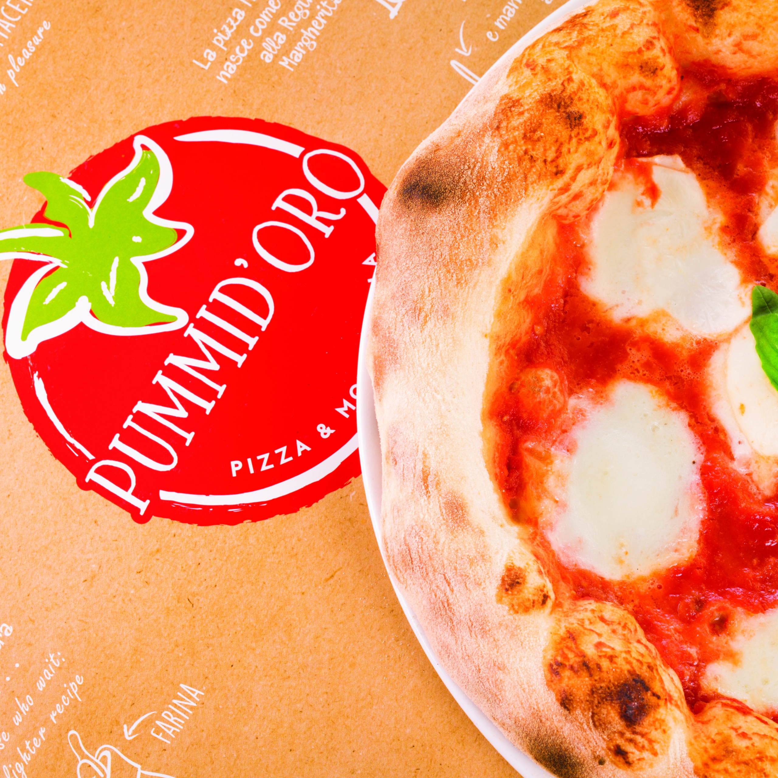 Pizza and Logo