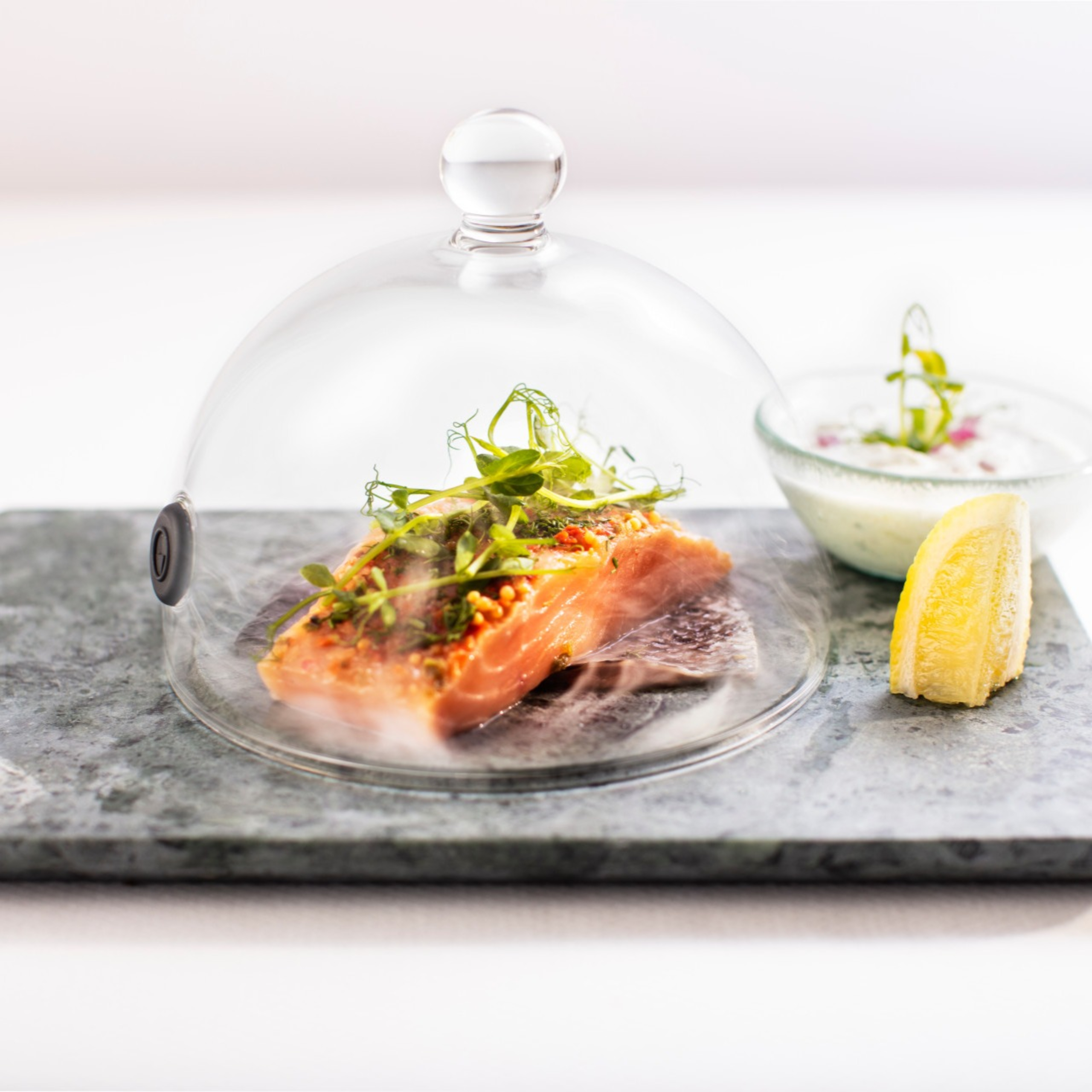 Salmon
